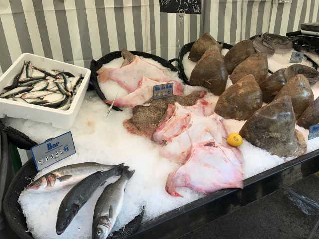 Market_Fish.jpg
