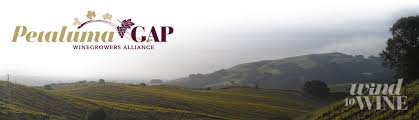 PetalumaGapAVA.jpeg