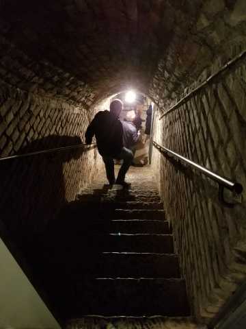 Down into the cellar at Vilmart.jpg