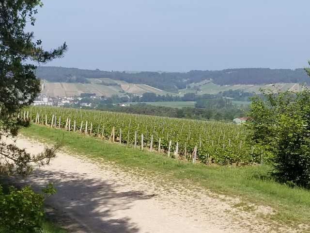 The Celles-sur-Ource village sits below the north slope.jpg