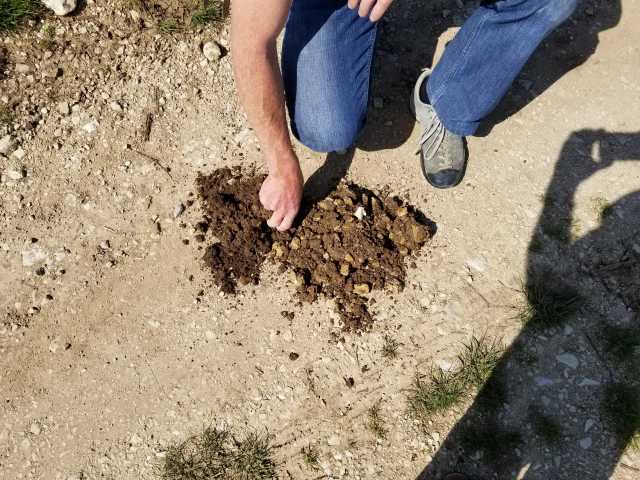 Comparing the bio soil (L) and chem farmed soil (R).jpg