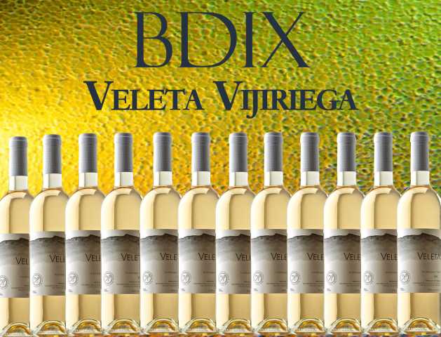 BDIX Viji 2015.jpg