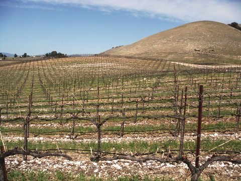 pierce-ranch.jpg