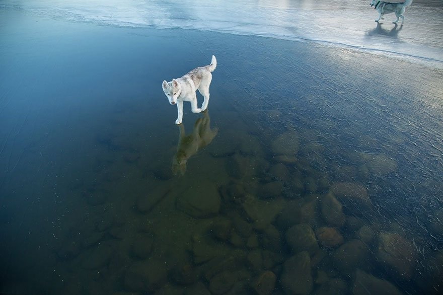 Frozen Lake.jpg