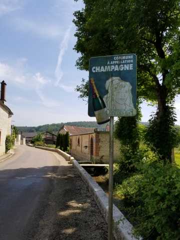 The cool sign along the 'main drag' through Buxieres.jpg