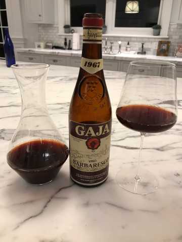 gaja 67.jpg