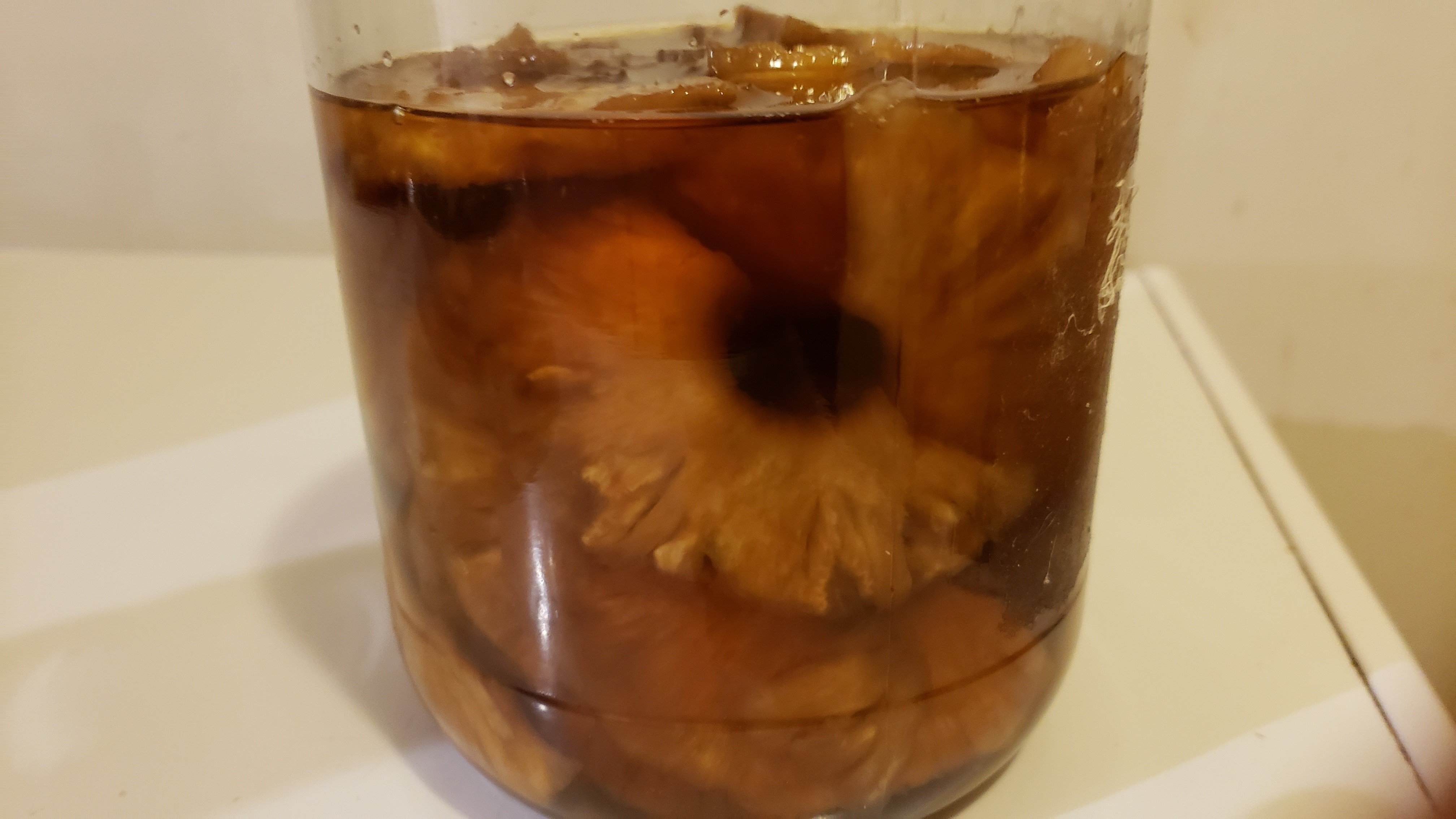 20190514_192325.jpg