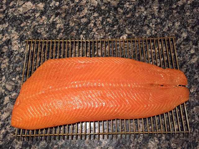 salmon.jpg