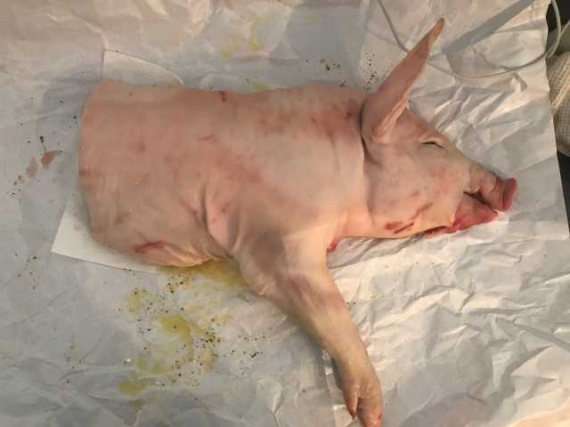 Market_cochon.jpg