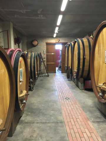 Rinaldi Cellar - 2.jpg