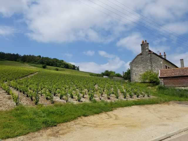 More of the Polisot slope.jpg