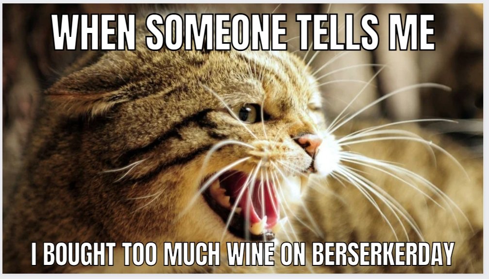 Cat meme 1.jpg