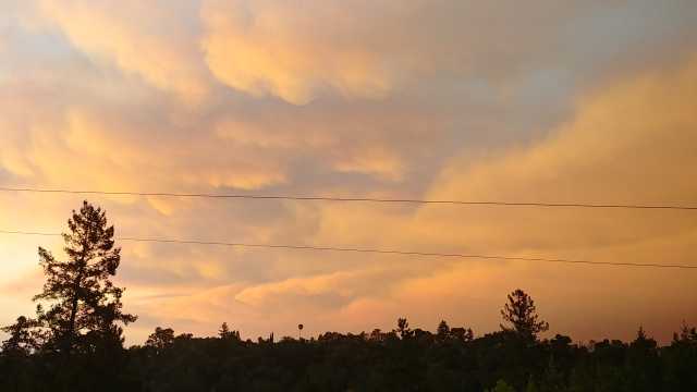 20180727_202307_HDR.jpg