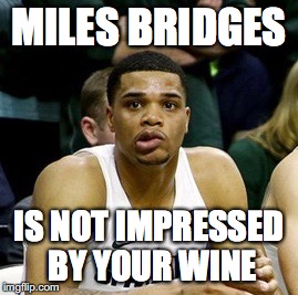 Miles is not impressed by your wine.jpg