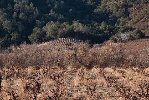 cienega-valley-vineyards.jpg