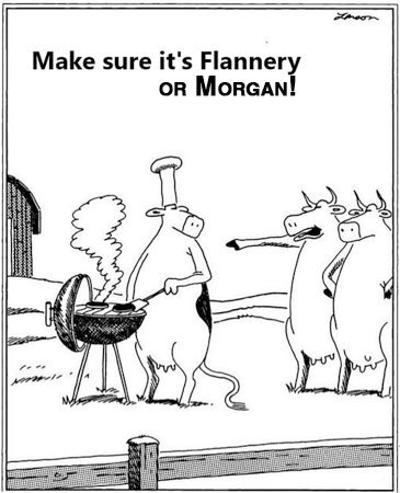 1aaa flannery-Morgan.jpg