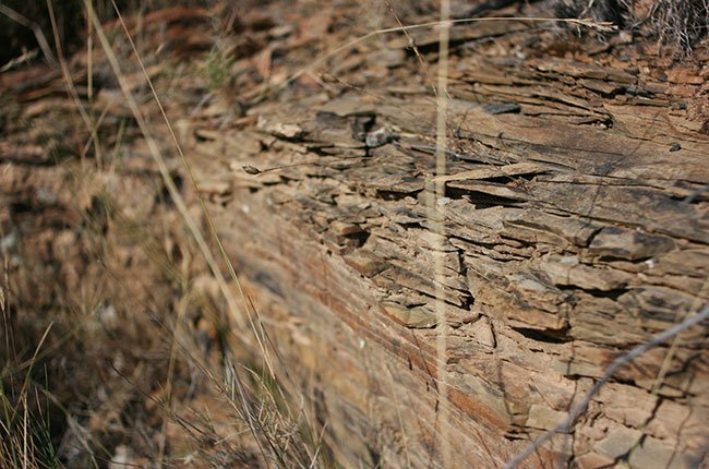 jefford-schist.jpg