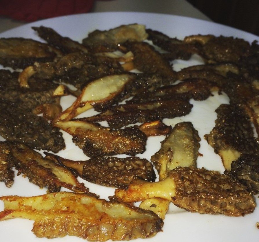 What wine to pair with morels WINE TALK WineBerserkers