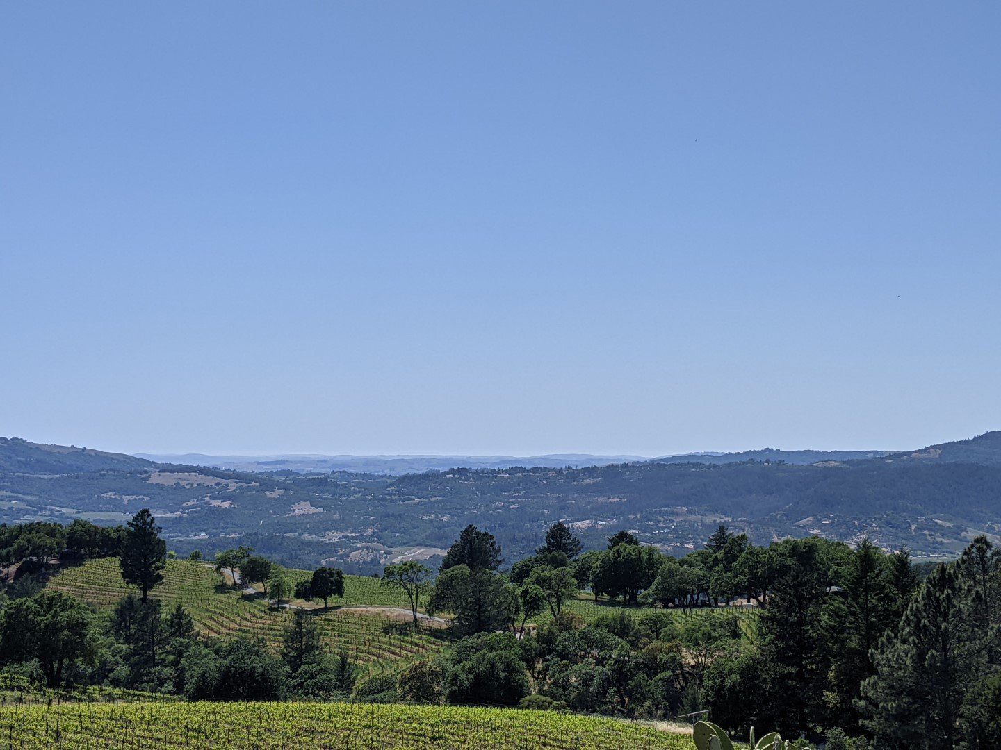 Montecillo1 (Large).jpg