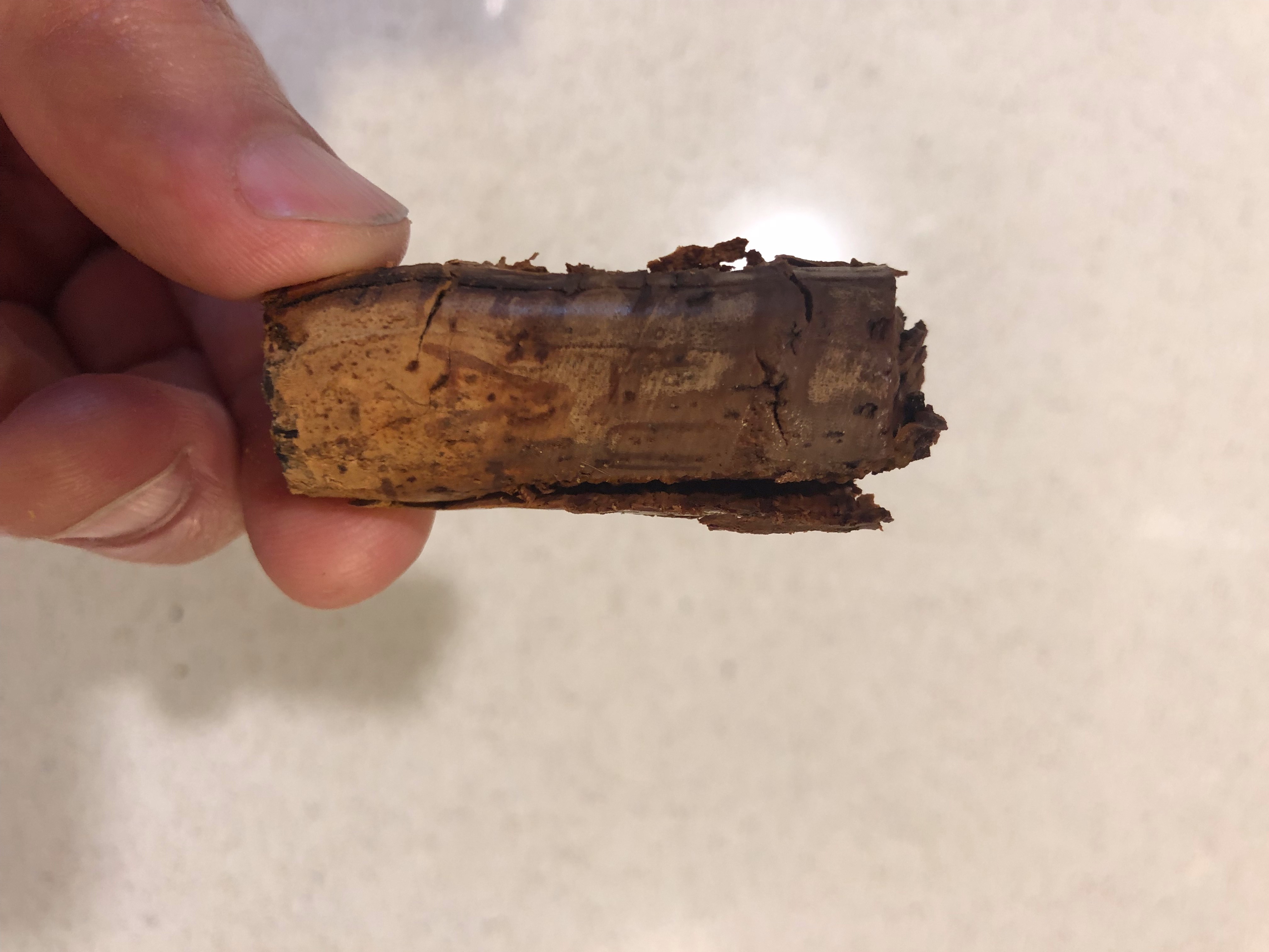Did bugs eat this cork and ruin the wine? - WINE TALK - WineBerserkers