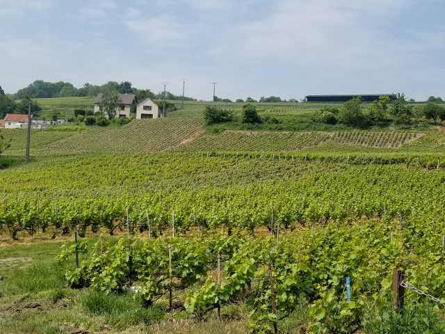 Rural shot from our way to Cuisles.jpg