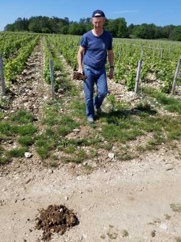 Bertrand returns with this bio soil.jpg