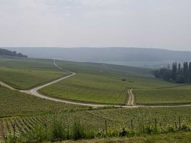 On our way to Cuisles showing a slope in the Valle de la Marne.jpg