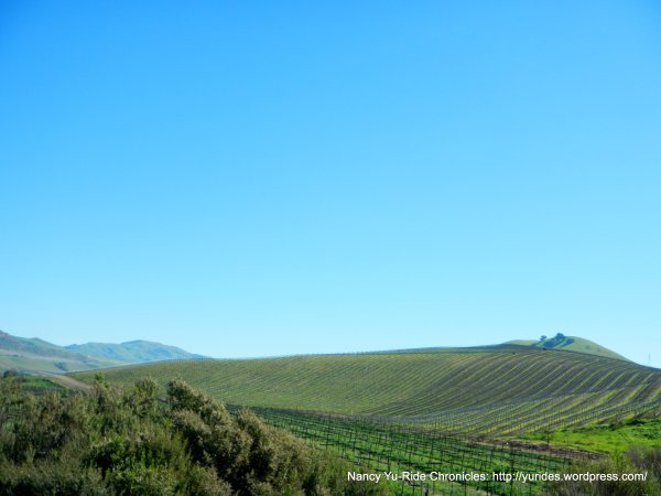 dscn6914.jpg