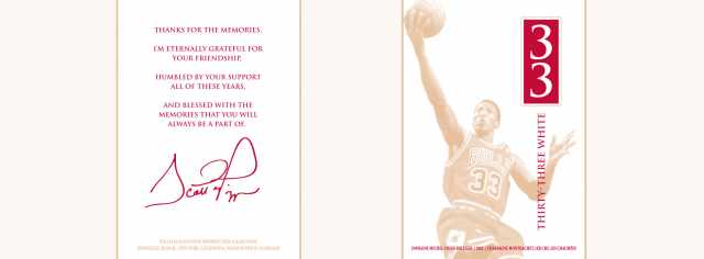 Scottie Pippen 33white (2).jpg