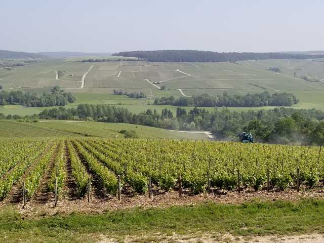 Standing on the north slope looking to the south slope of Celles-sur-Ource.jpg