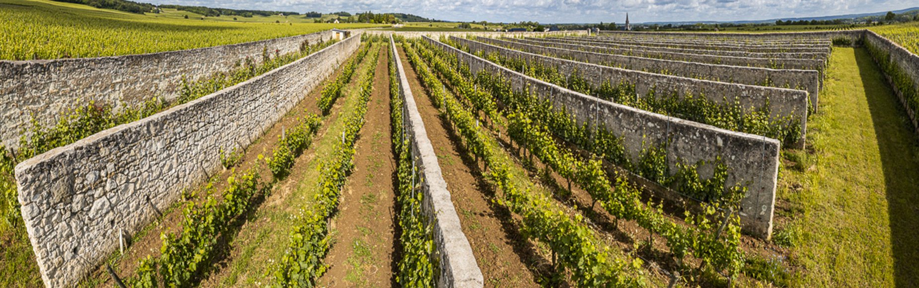 Clos-3.jpg