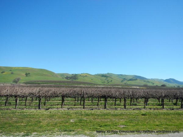 dscn6943.jpg