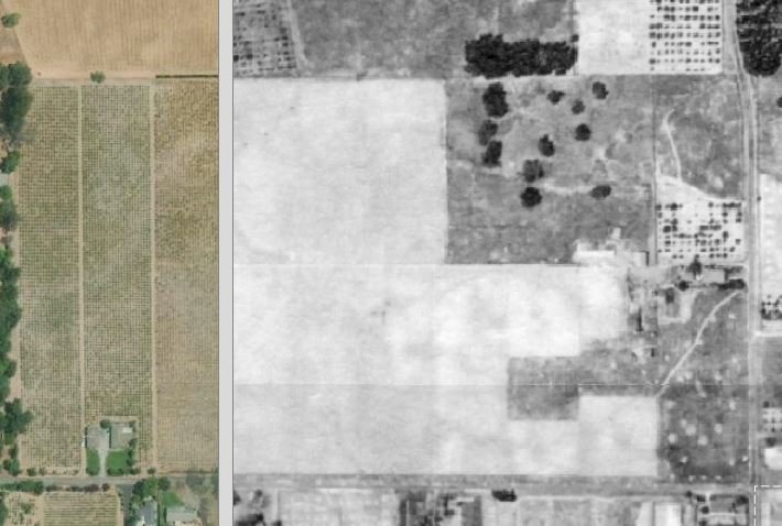 WoodRoad1942.JPG