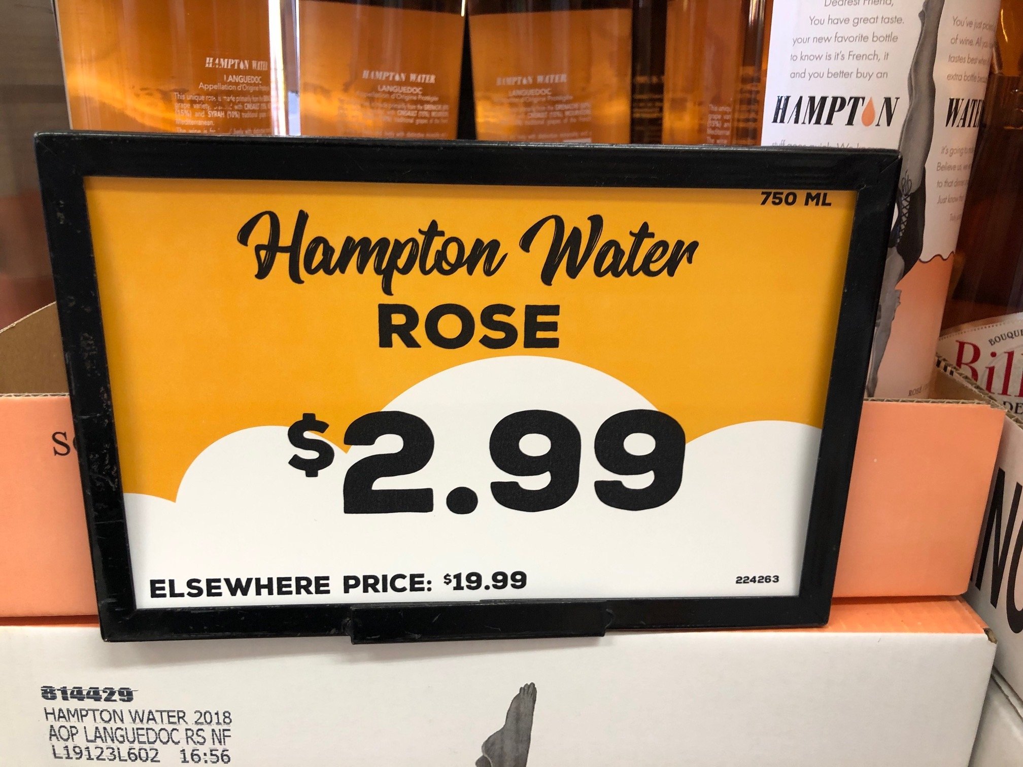 hampton.jpg