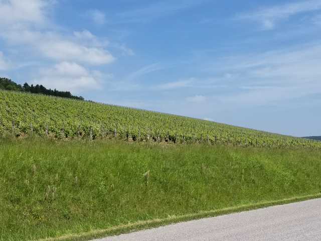One of the many slopes along the road to Buxieres.jpg