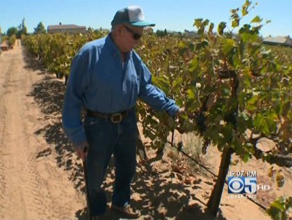 oakley_vineyard_082312.jpg