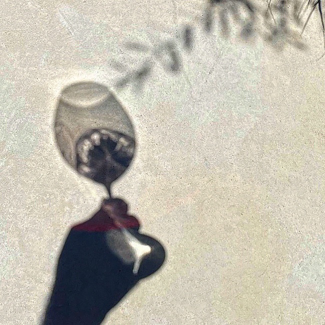 026657E0-FCE3-4F73-84F8-A850CD13FA0B.jpeg