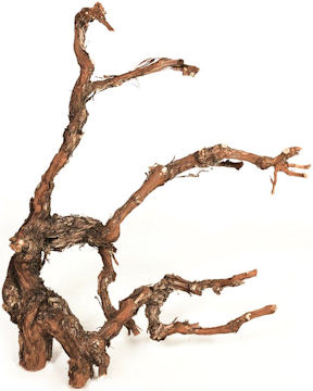grape-wood-vine-branches-natural-sale_MED.jpg