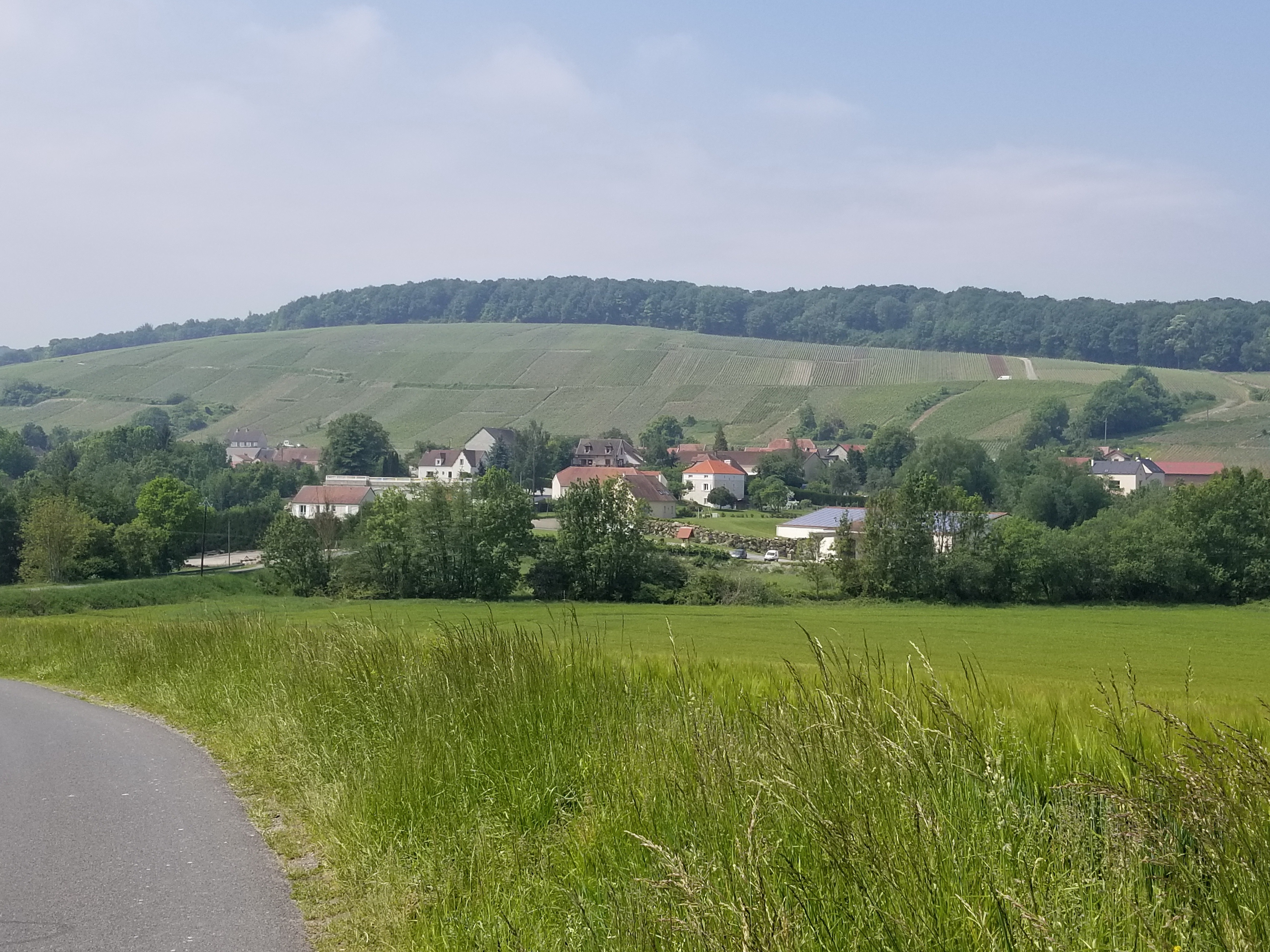 Entering Cuisles.jpg