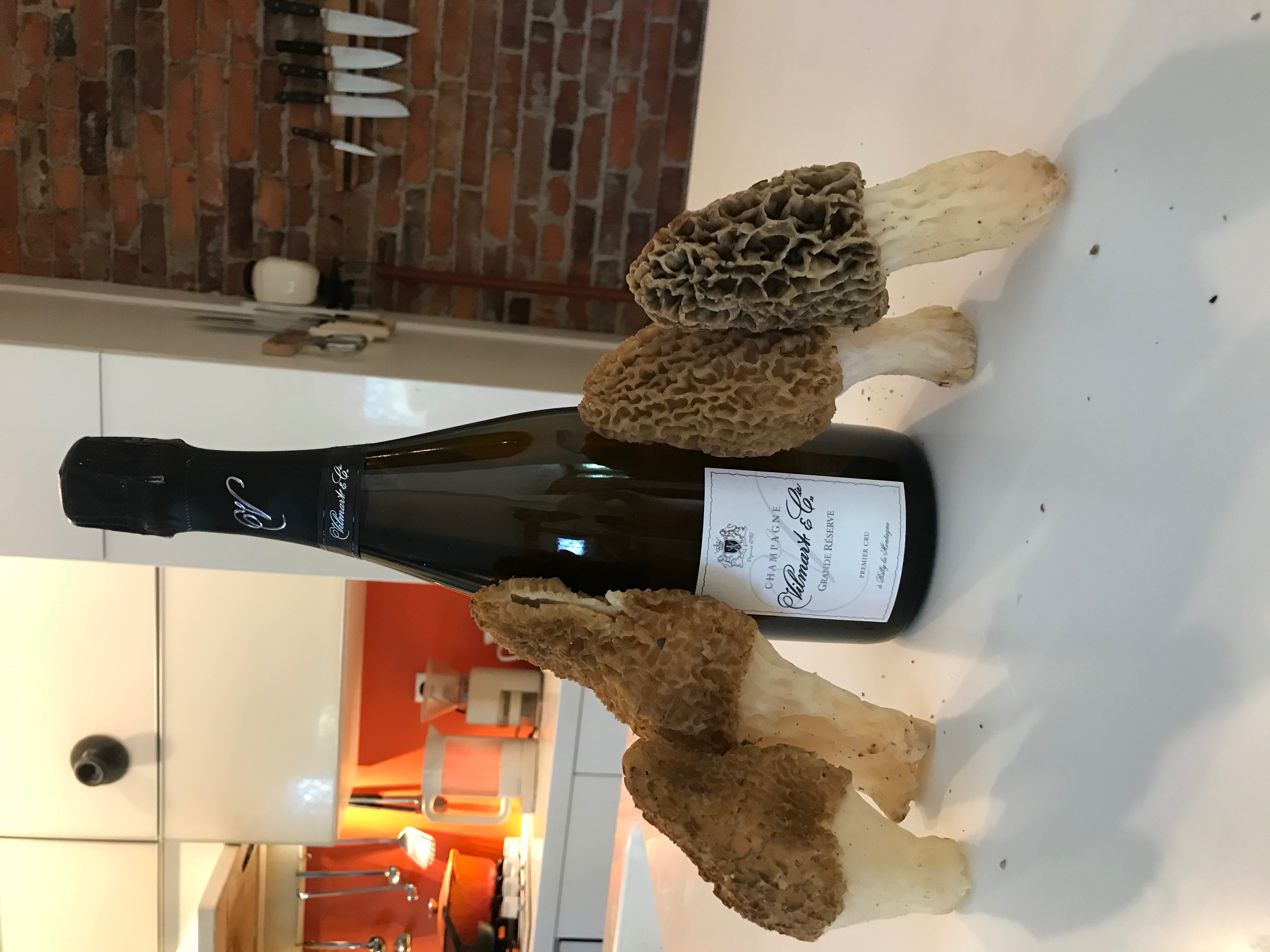 What wine to pair with morels WINE TALK WineBerserkers