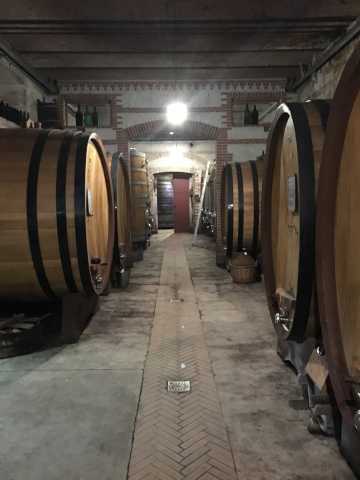 Rinaldi Cellar.jpg