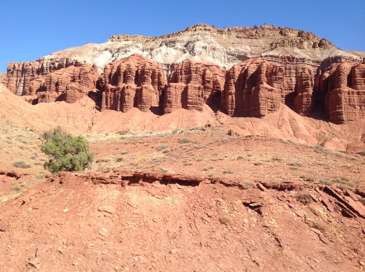 capitol reef.jpg