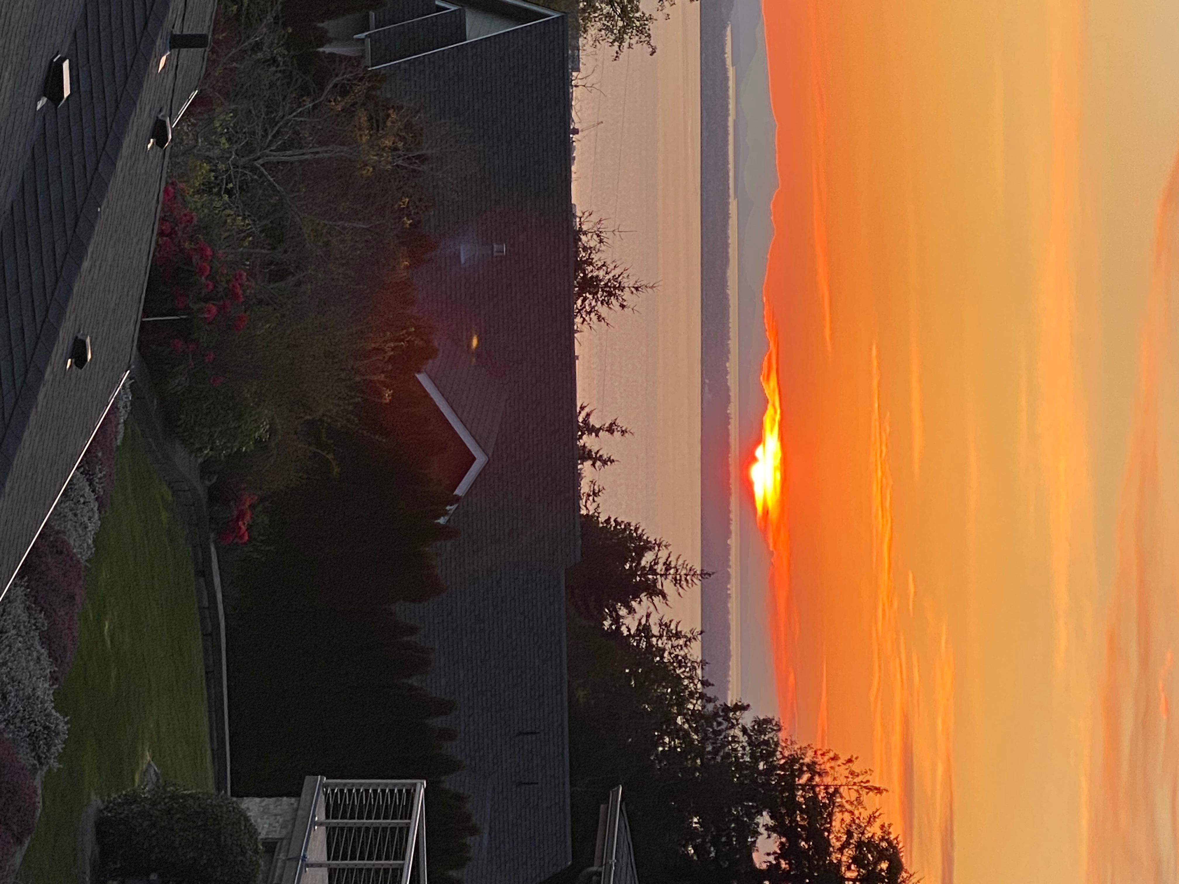 BAFD6158-2C8E-4D22-B023-2D2E49B5D5F3.jpeg