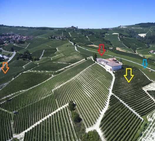 Cannubi aerial photo.jpg