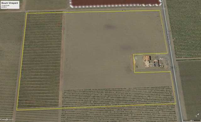 Bourn Vineyard June 2013.jpg