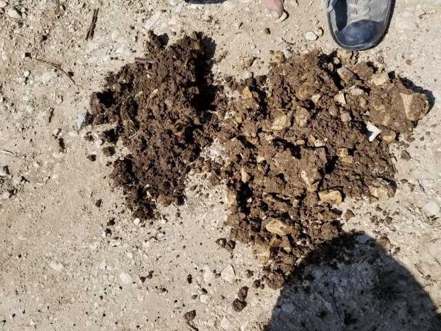 Two soils up close.jpg