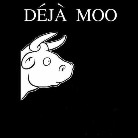 deja moo.jpg