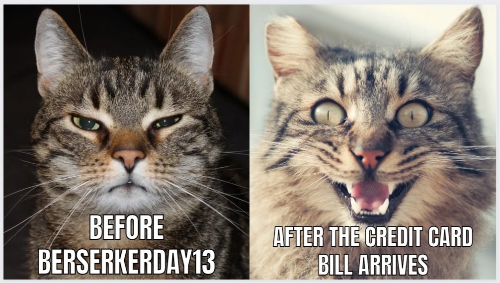 Cat meme.jpg