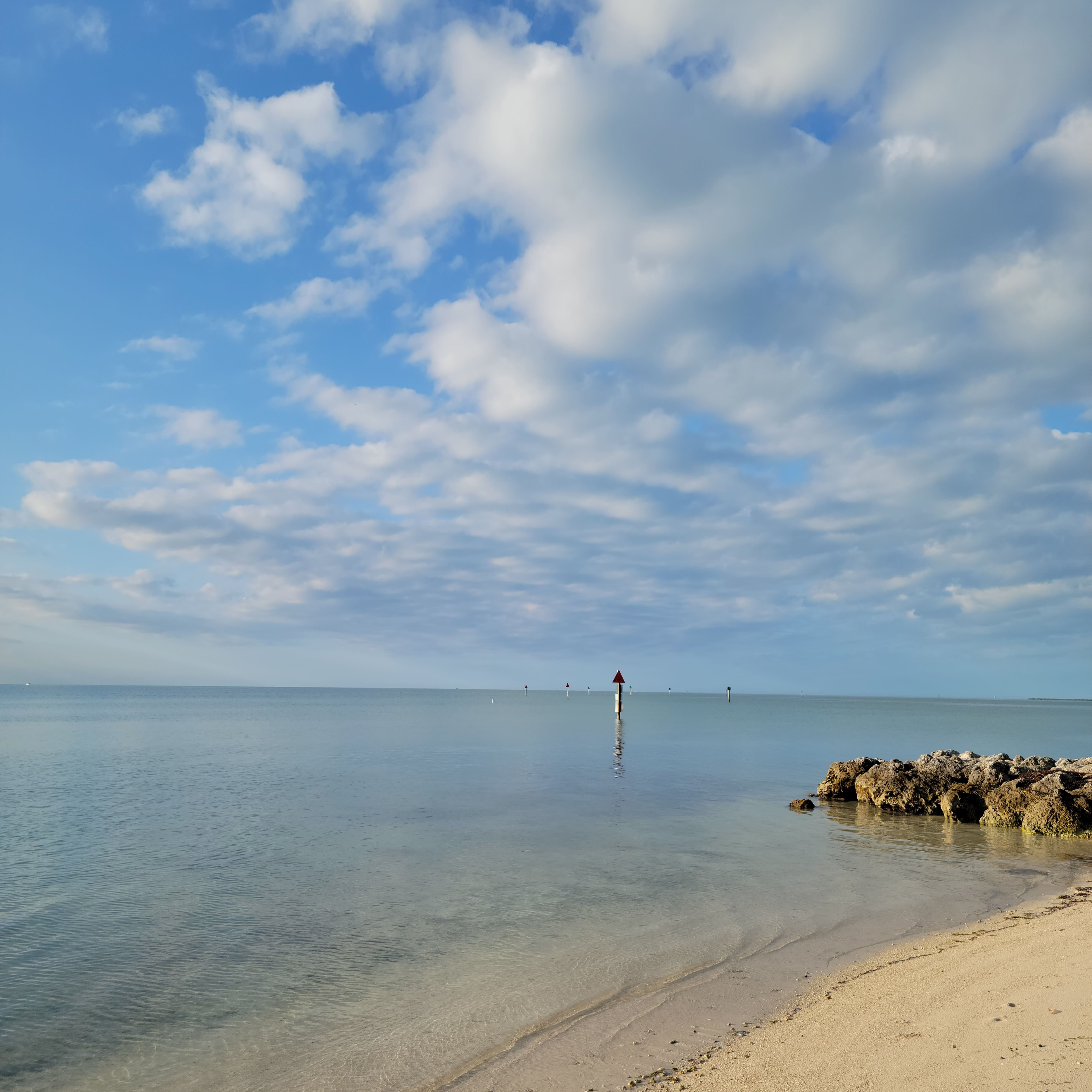 IMG_20220121_141157_236.jpg