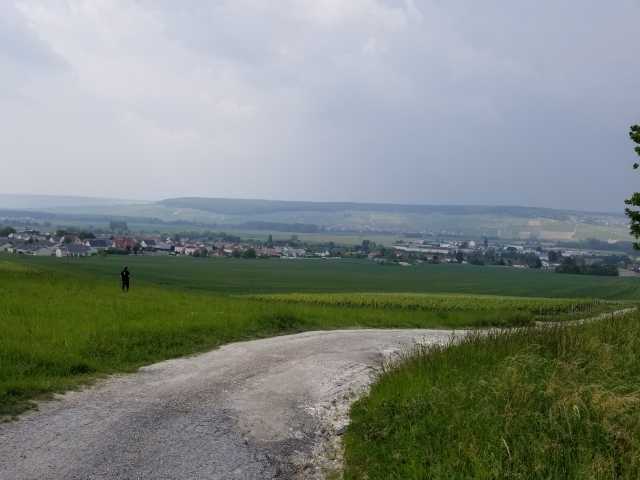 Looking down into Epernay.jpg